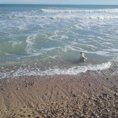 Apartamento Blanc Mar Peñíscola المظهر الخارجي الصورة